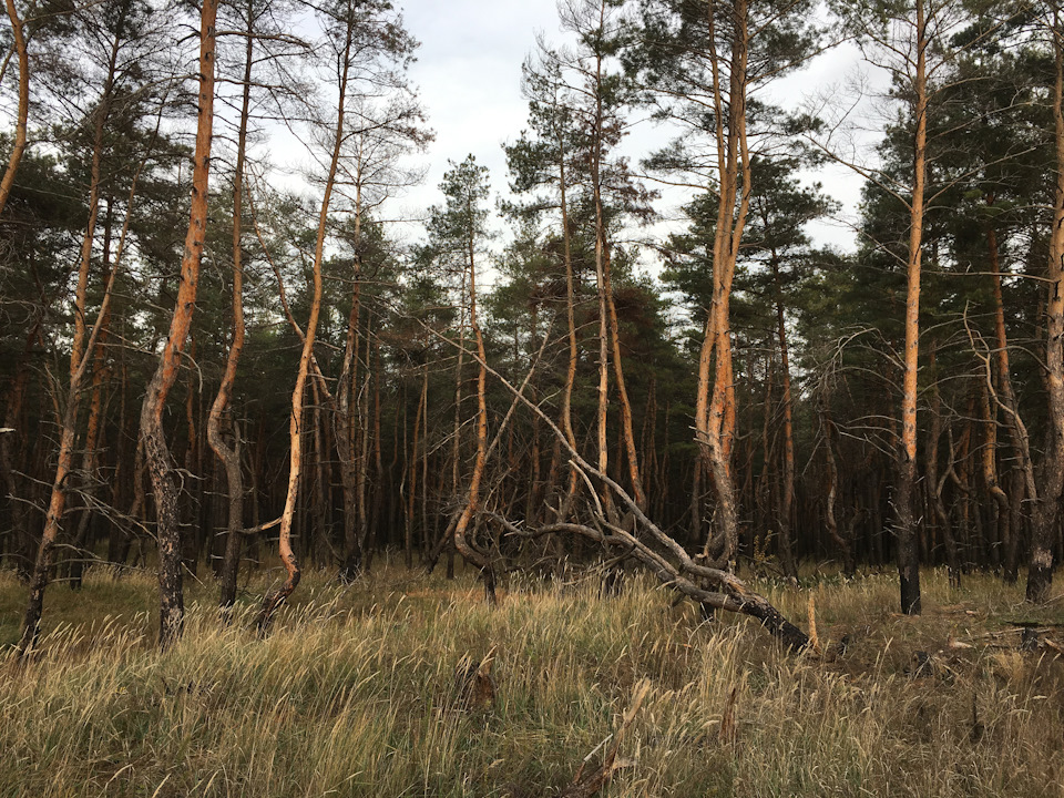 трохи про життя намиста і не тільки… 3