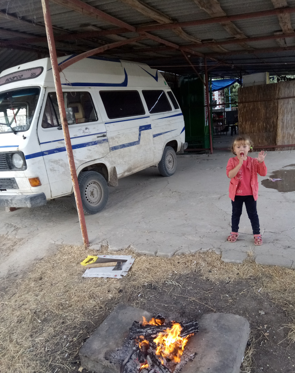 Соцопитування про бусик у блозі 1