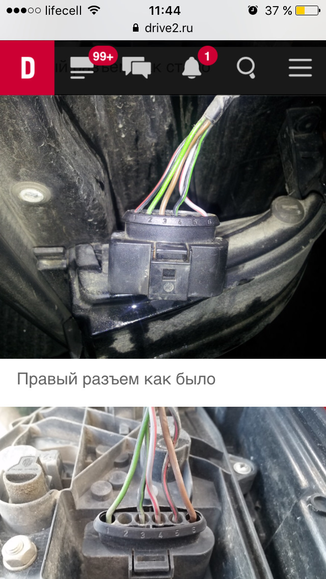 Стопарі 5