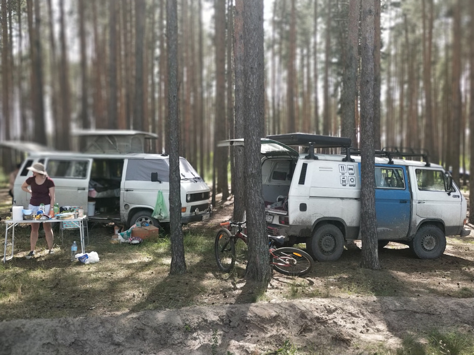 Добре з друзями влітку 2