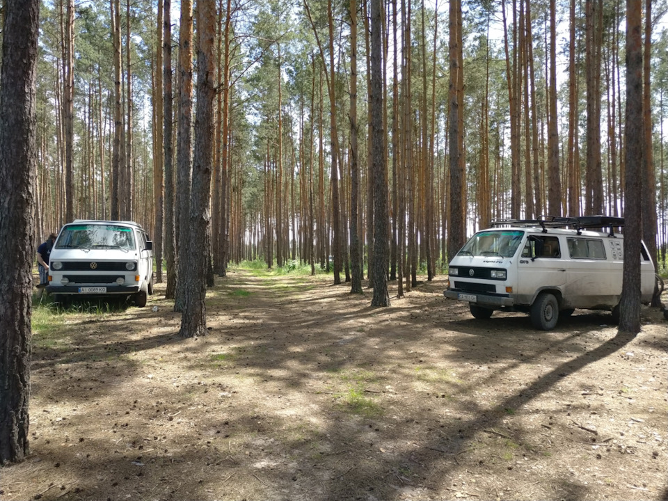 Добре з друзями влітку 1