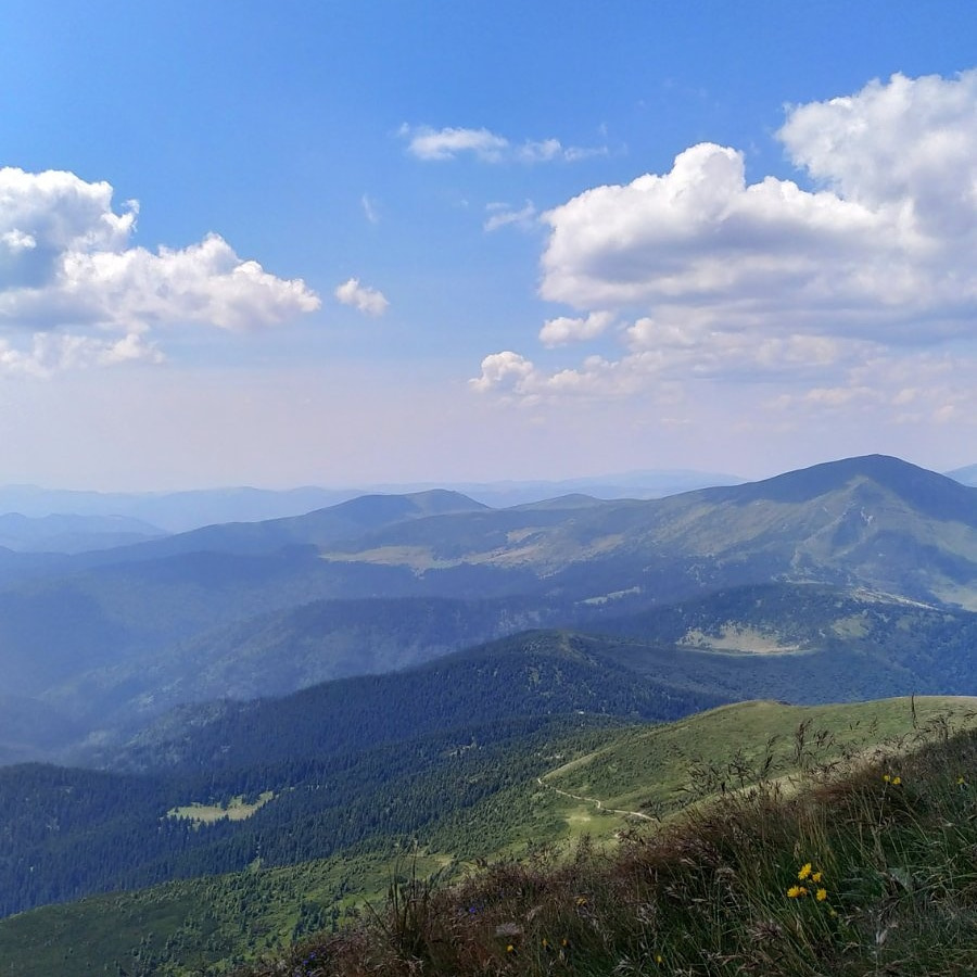 Літо на карантині. 3