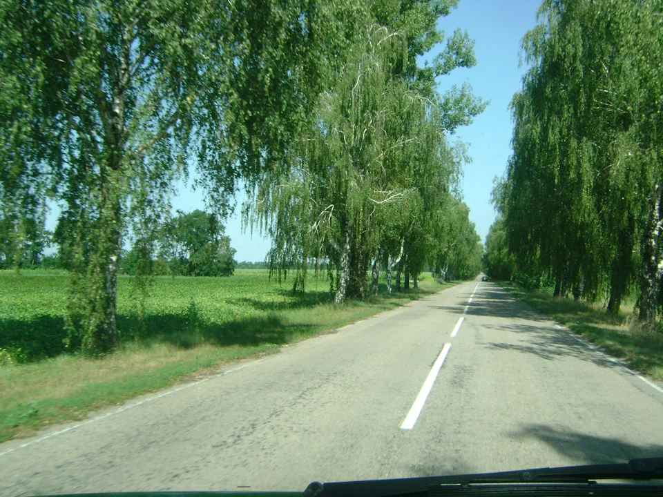 Втеча туди, де немає проблем. (Провожаючи літо)