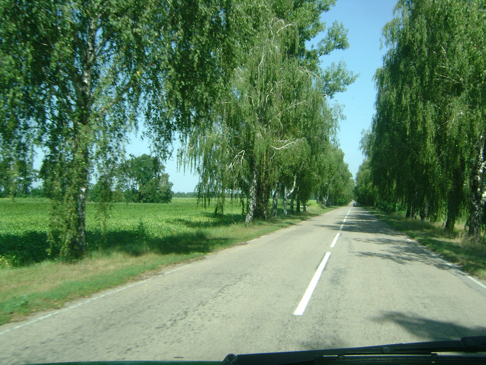 Втеча туди, де немає проблем. (Провожаючи літо) 1