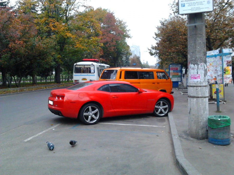 руда шафа і червона ракета :))) 1