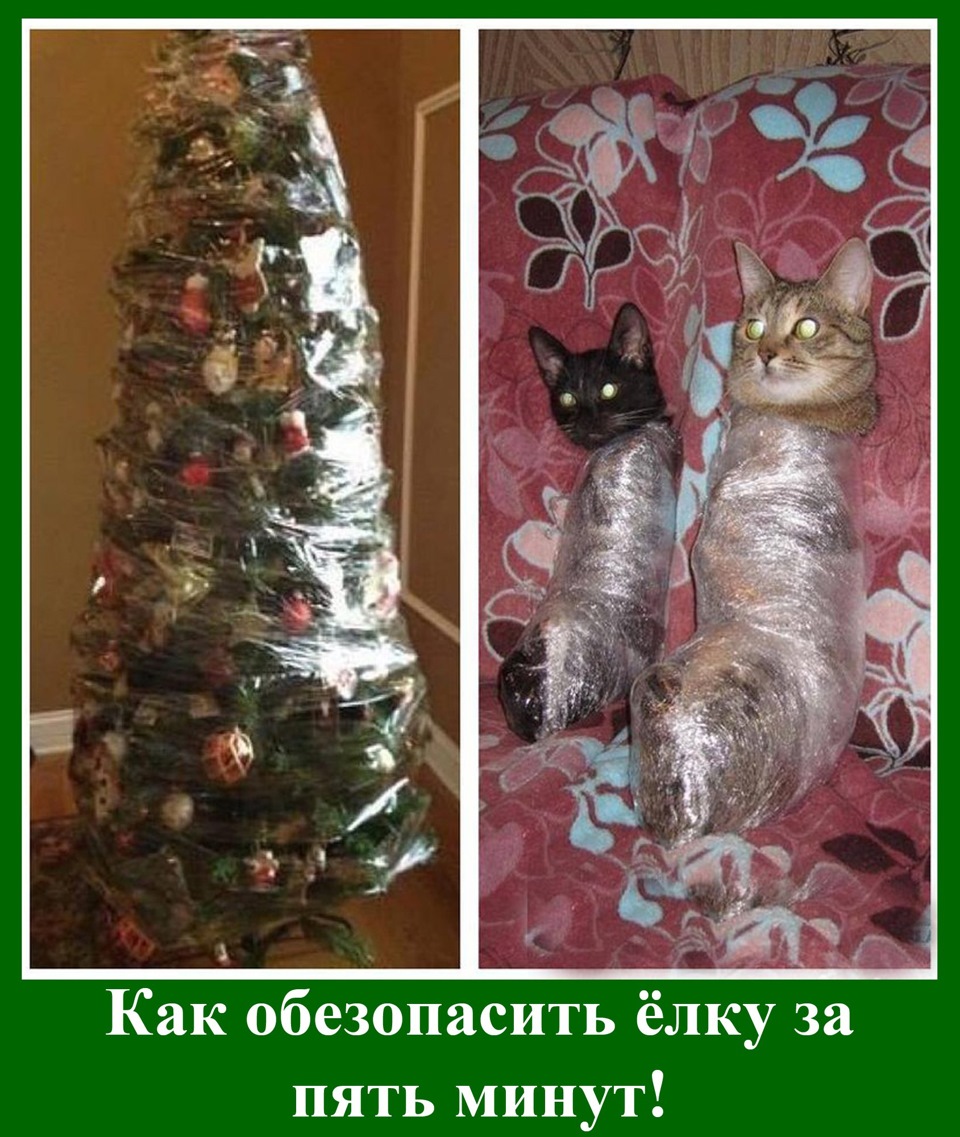 з наступаючим 2016) 5