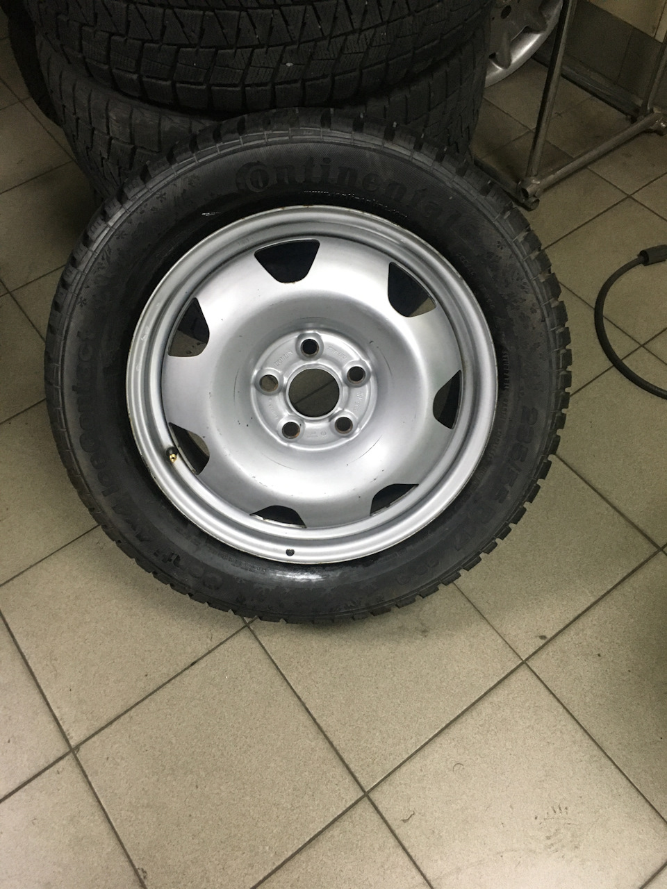 Прикупив черепашки на 17 5