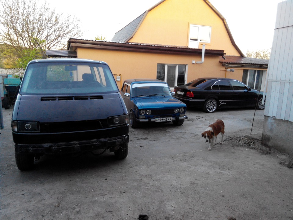 Мої три красуні:))) 1