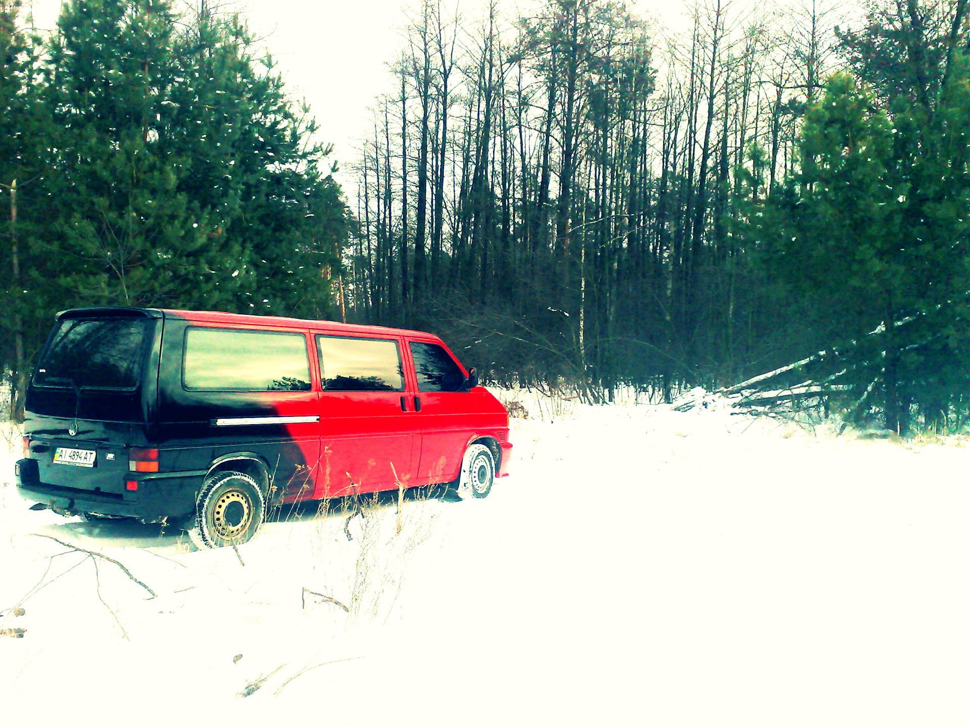 Покотушки в лісі :-) 5