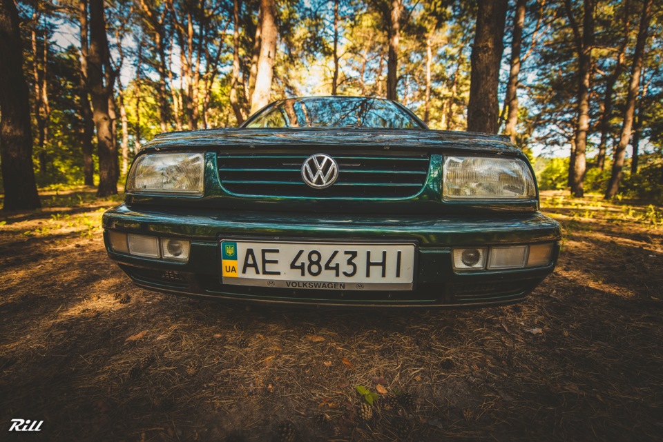 Краса в соснах (фото) 3