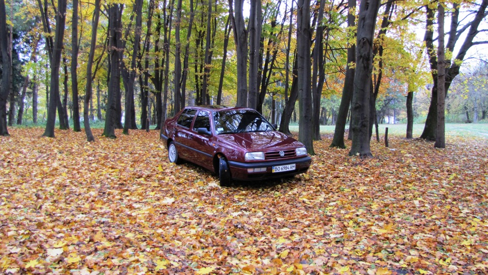 Осіння фотосесія. 2