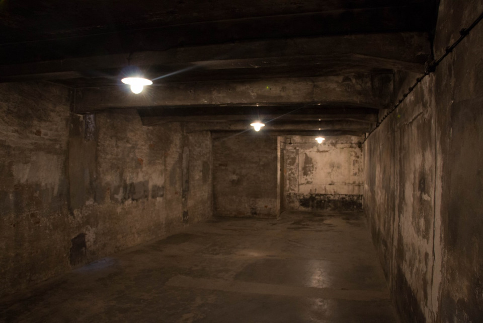 Маленька поїздка Польщею, ч2. Краків-Освенцім Muzeum Auschwitz-Birkenau 3