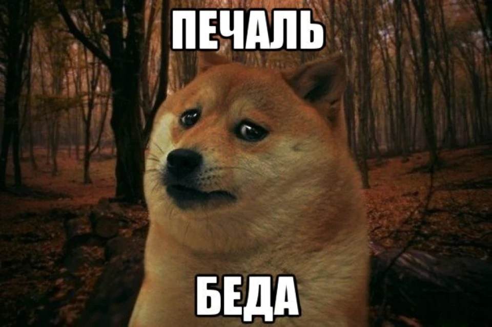 Кузовні справи №1