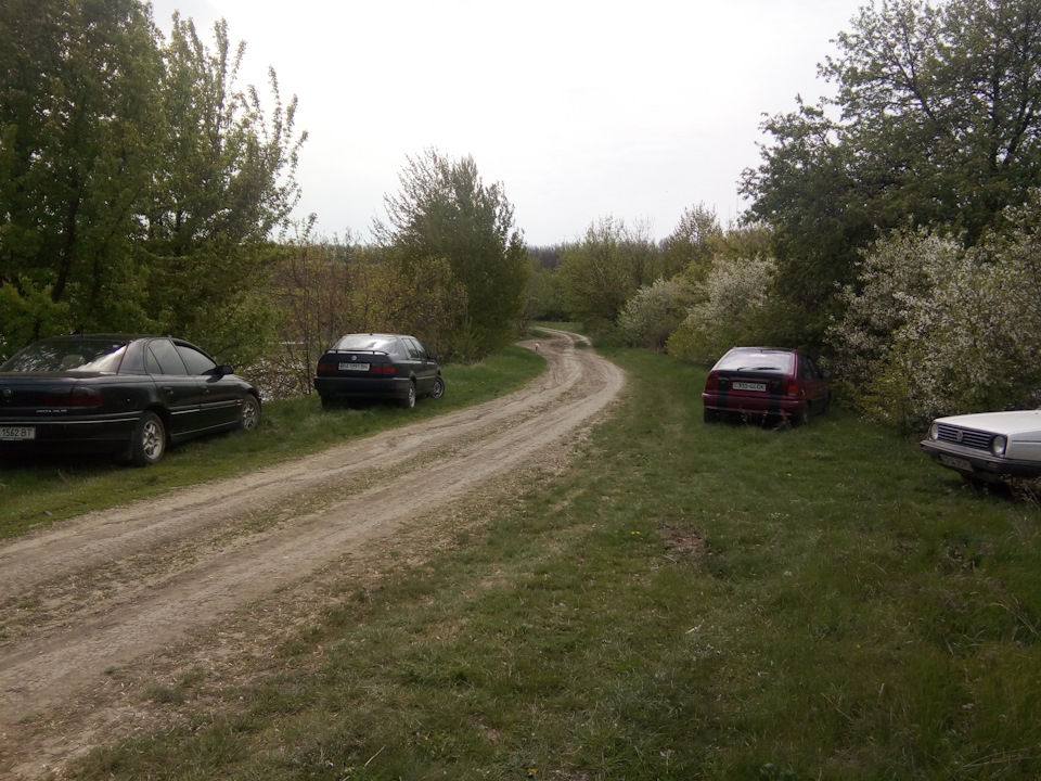 Травневі на природі 2