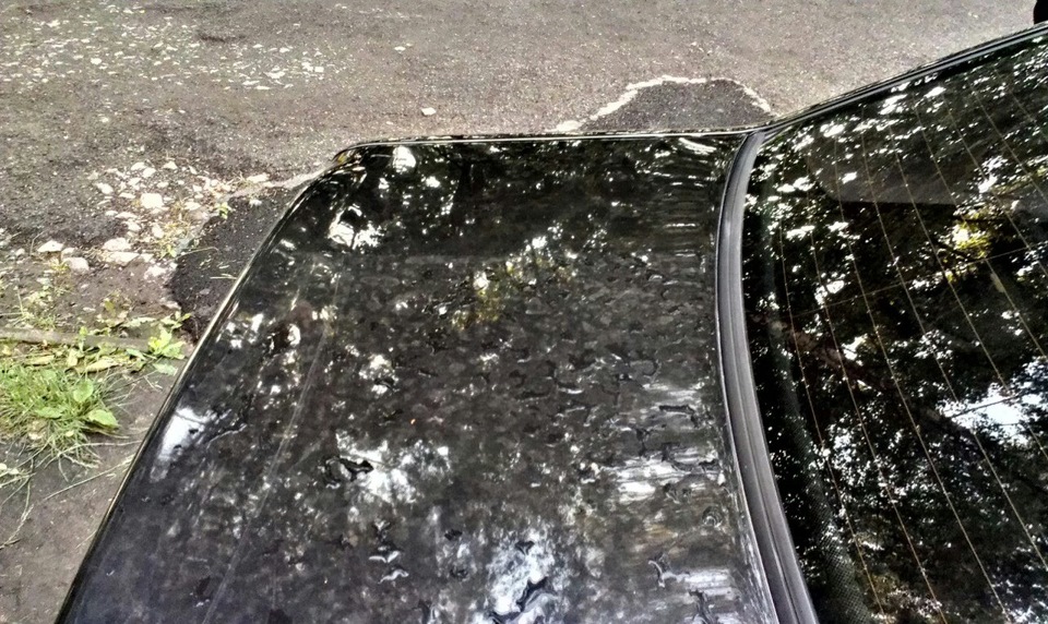 Купив Car Wax (поліроль) 5