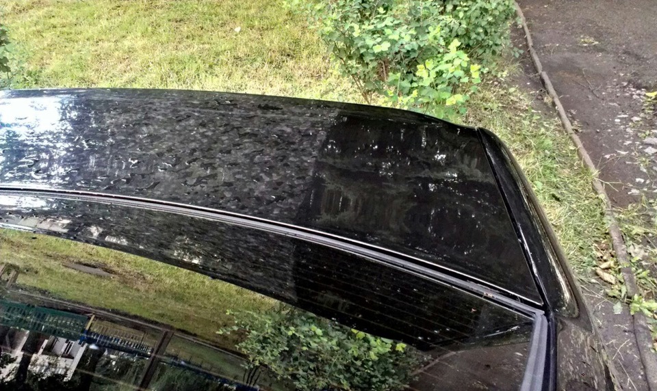 Купив Car Wax (поліроль) 3