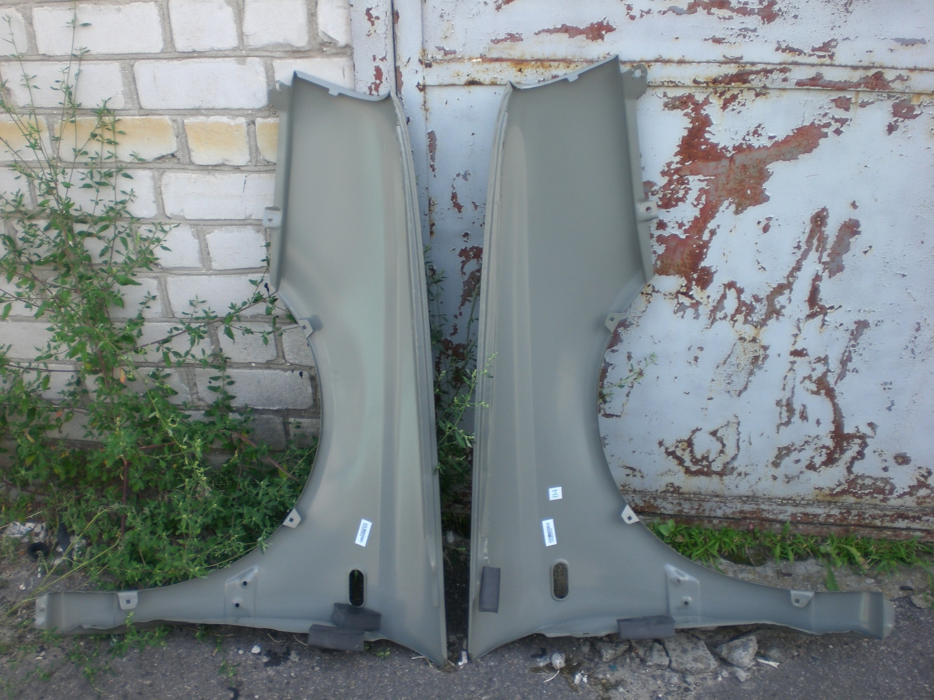 Нові крила 5