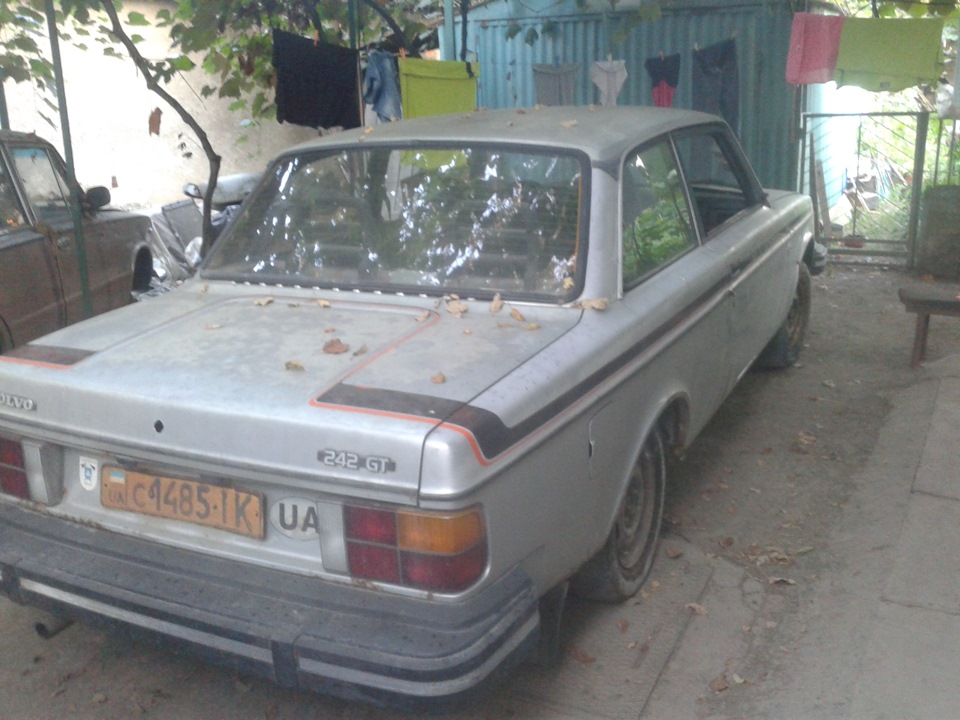 поповнення сім'ї… 5