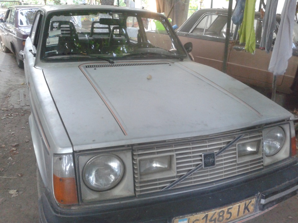поповнення сім'ї… 2