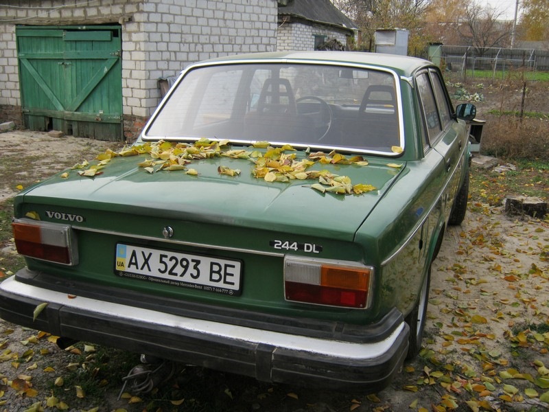 Осінь прийшла... 2