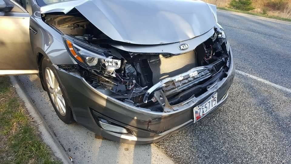 Наскільки міцними робили авто коли дерева були високими... 1