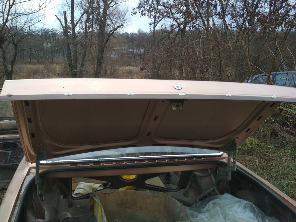 Кліпси молдингу на VOLVO 240 4