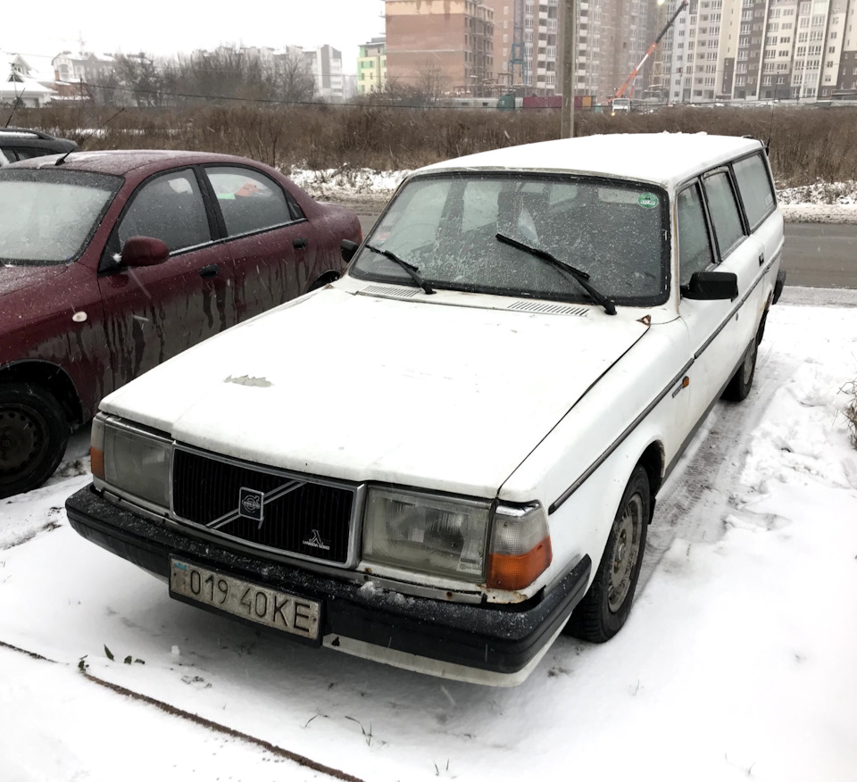 Березень. Бархотки та інше. 5
