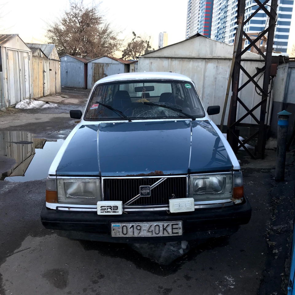 Березень. Бархотки та інше. 2