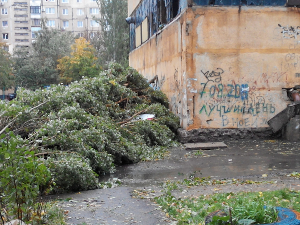 Штормець в Одесі 1
