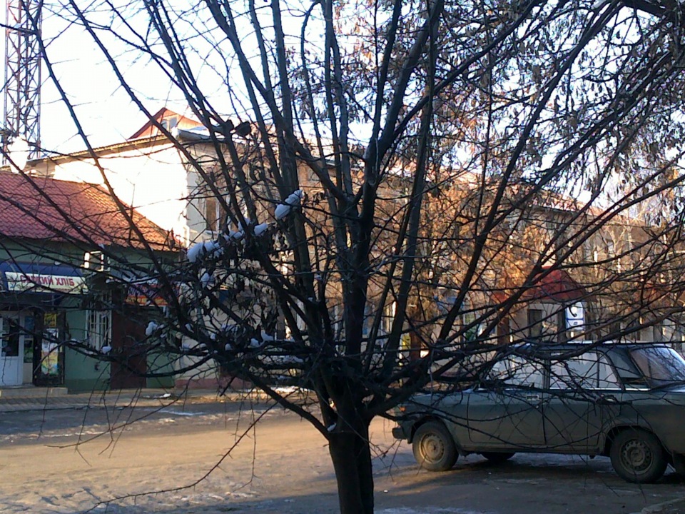 ПТАХИ СЦУКИ ОБГРАЛИ. 4