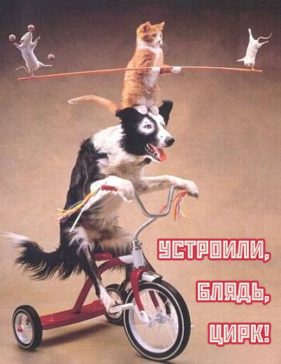 Напузно-асфальтовий слалом 2