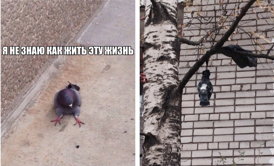 Продовжуємо лікування 1