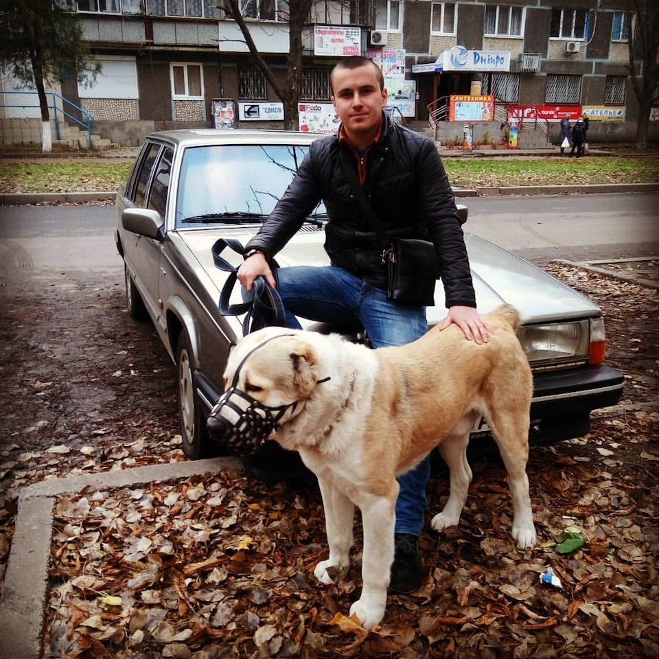 Поїздка до Нікополя та прогулянка з Айроном 2