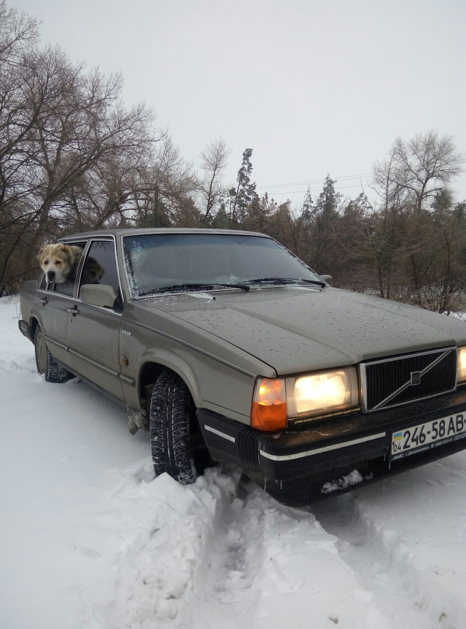 Зимові покотушки 1