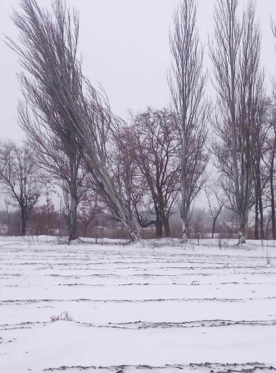 Зимові покотушки 4