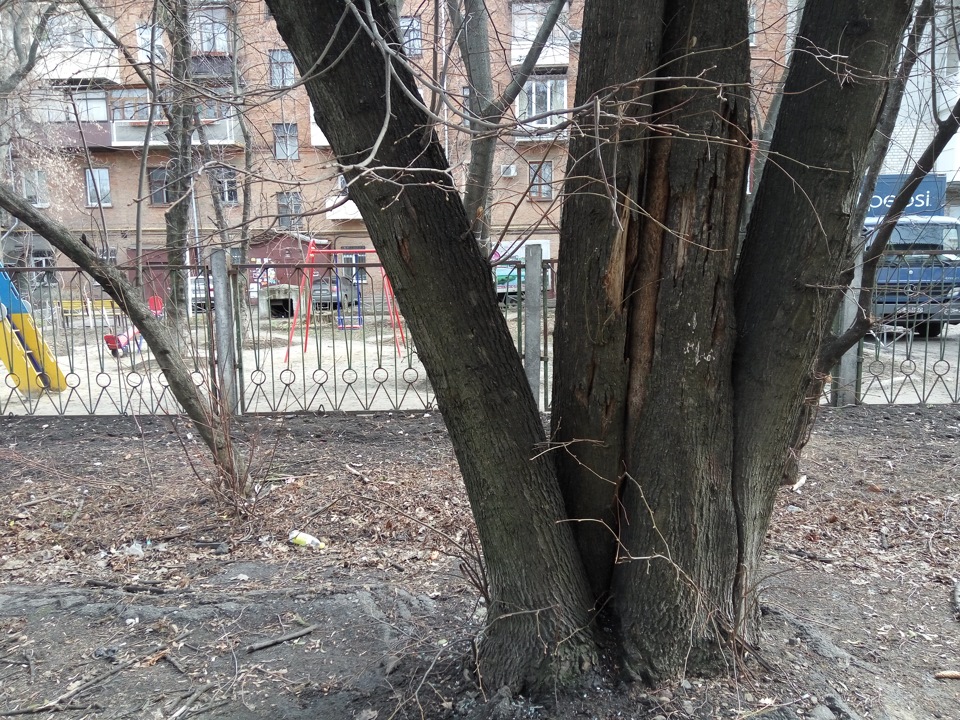 Неприємності трапляються 2