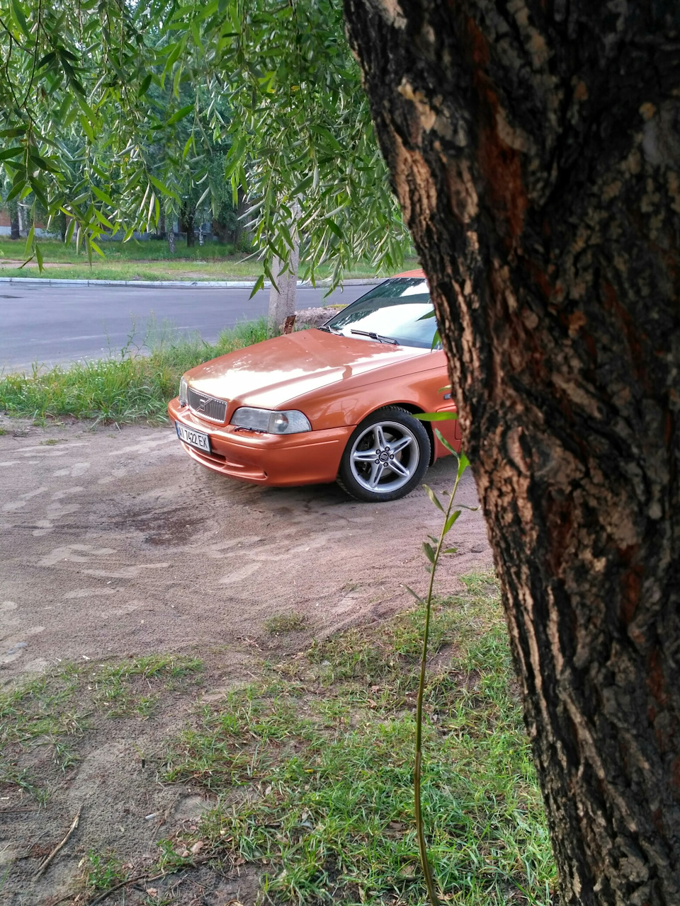 Пара фото, просто так) 1
