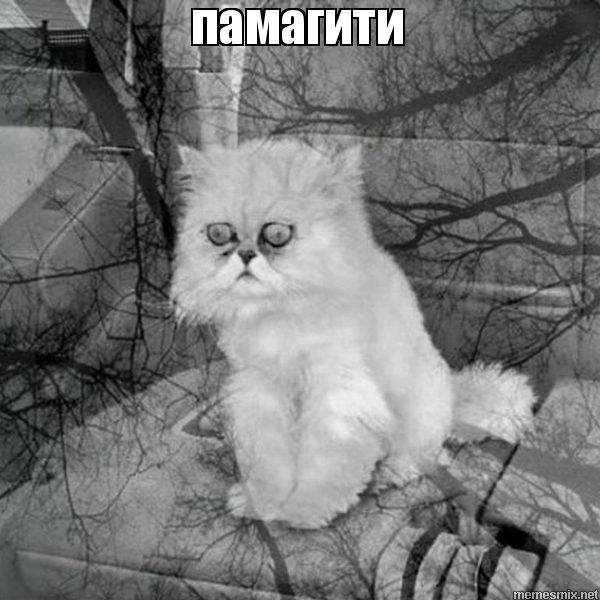 Потрібен порада зі зчеплення) 1