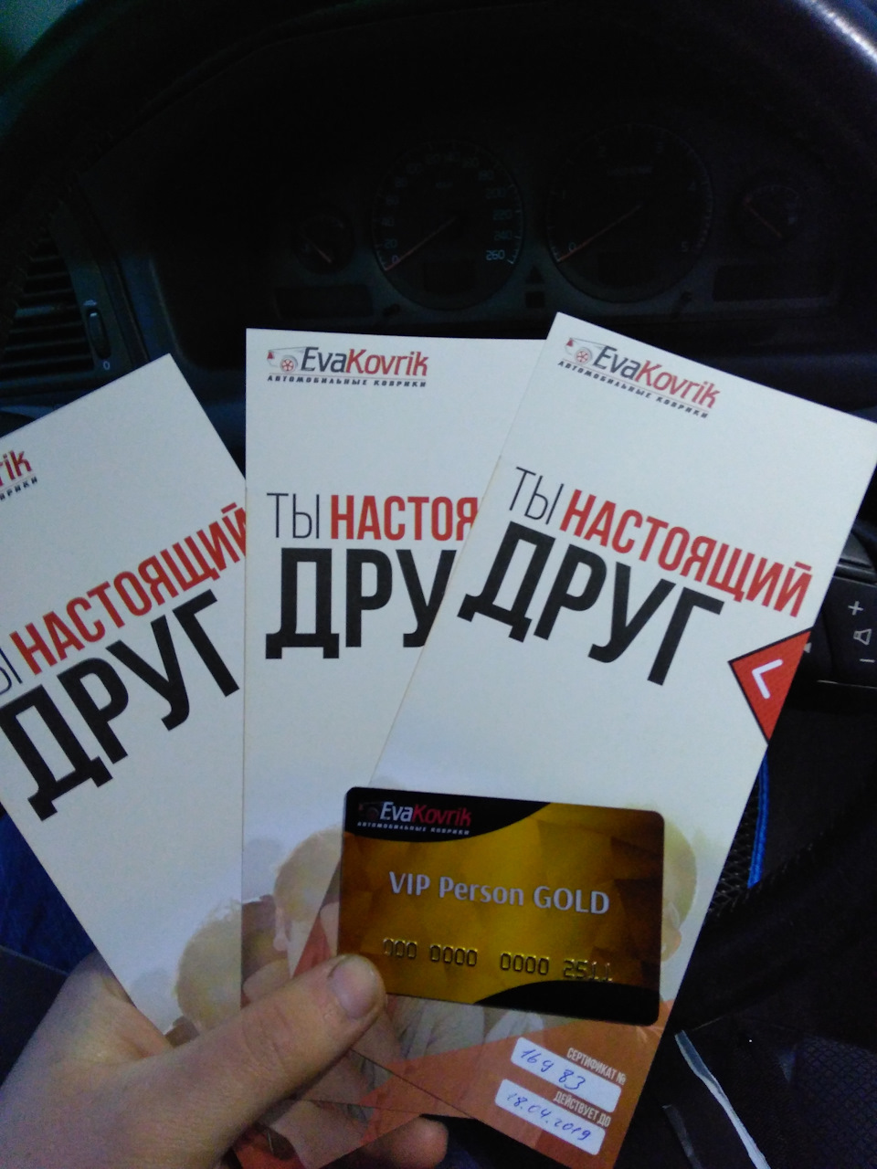 EvaKovrik в тачу) 5