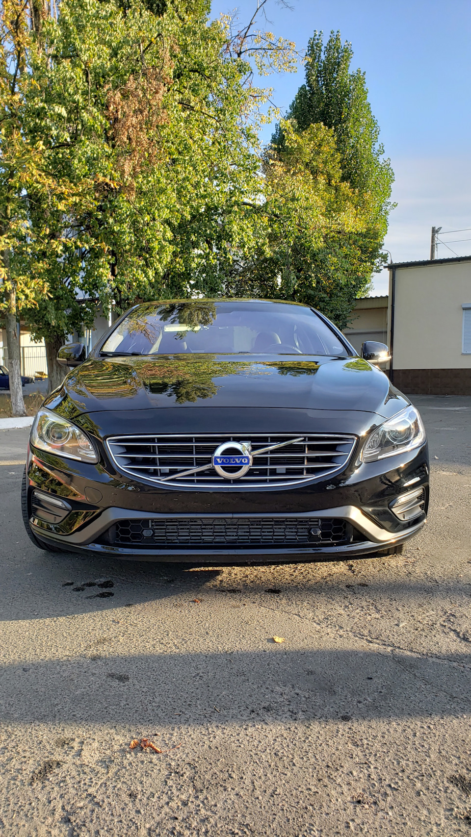 Сіточки) 1