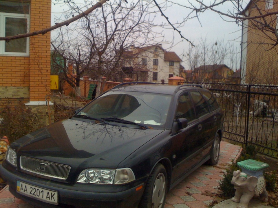 Знайшов фото лося, коли побачив його вперше… 5