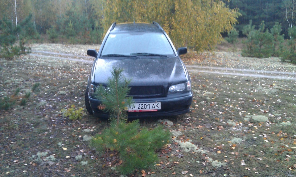 Тихе полювання або дерева атакують ... 3