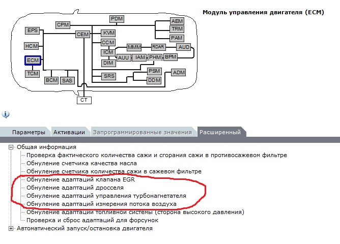 Якщо собаці нема чого робити, вона до... лиже. 1