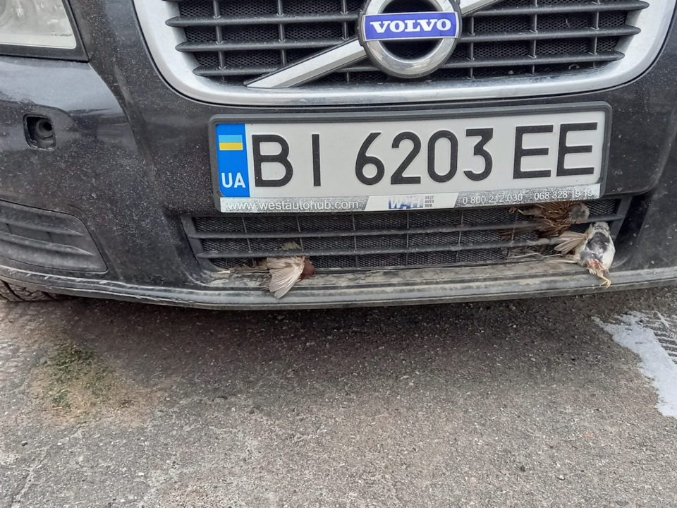 Не встигли... 1