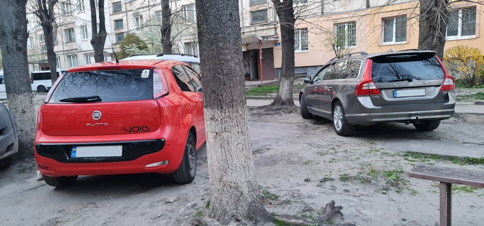 Домашній автопарк помитий 2