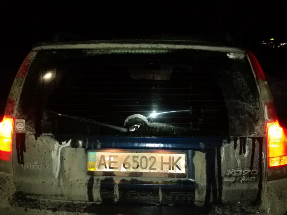двірничок... 4