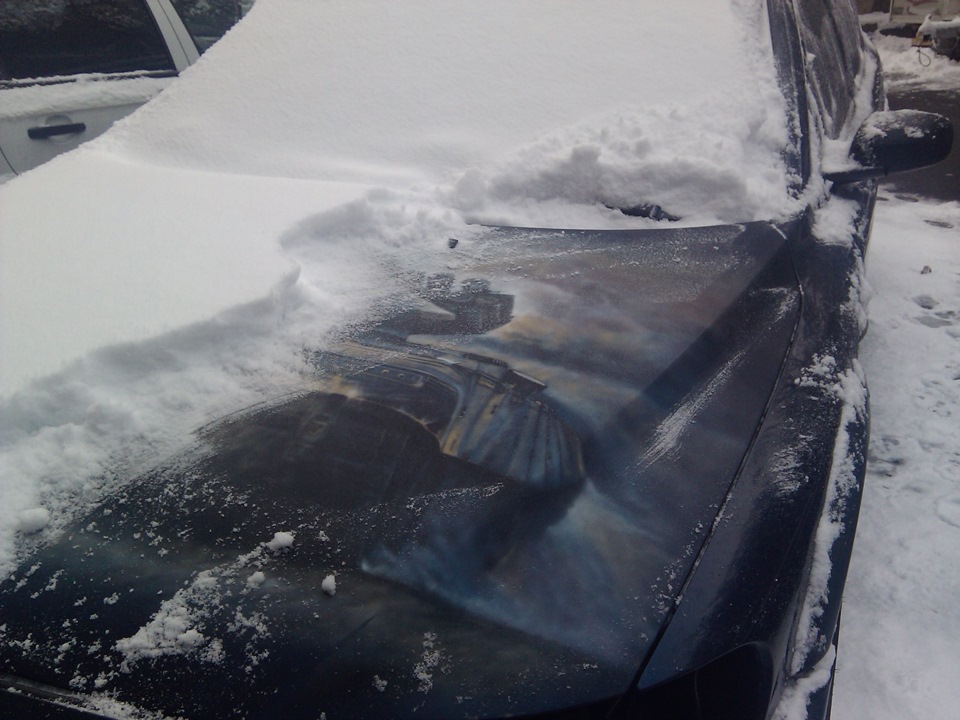 шведський проліск 2