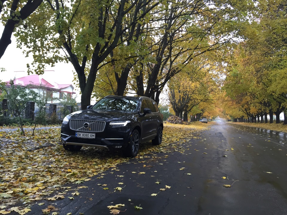 #7. Осінь)... Дощ, холод... Але гарно! І знову яблука 5