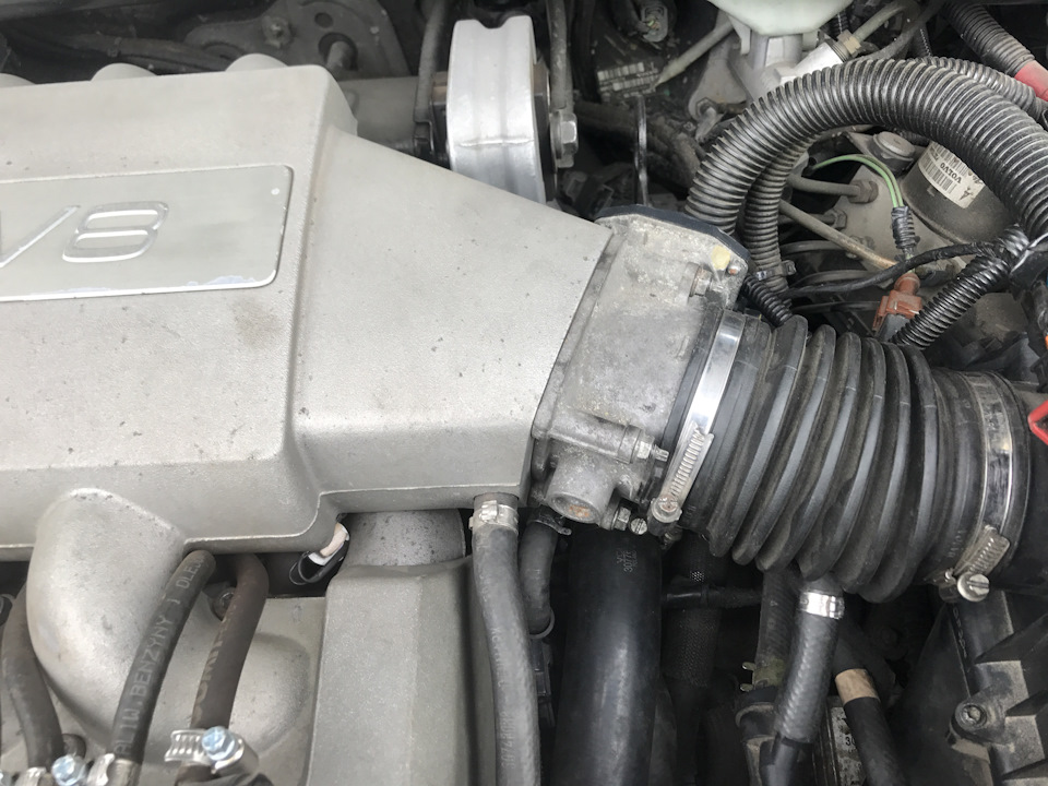 Смерть дроселя на V8 1