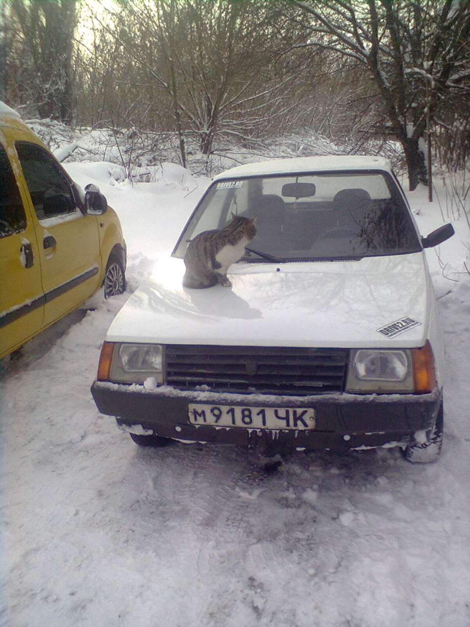 фотосет 5